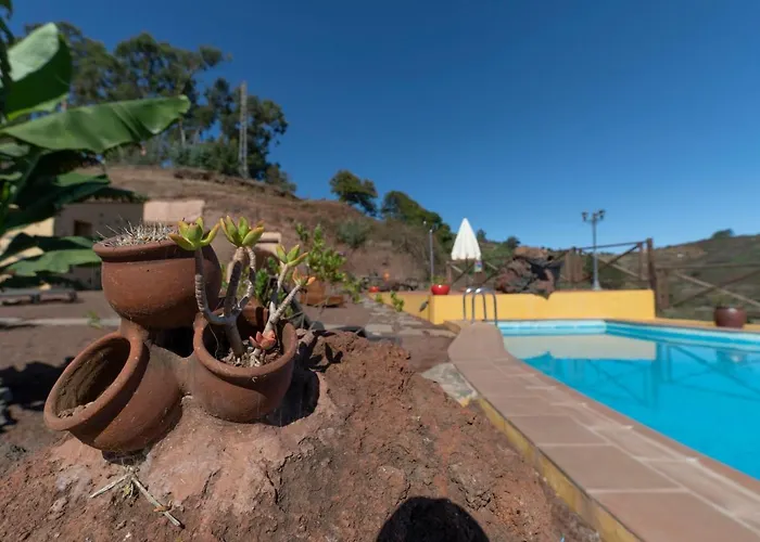 Naturacanaria - Flor De Mundo * Moya (Gran Canaria)